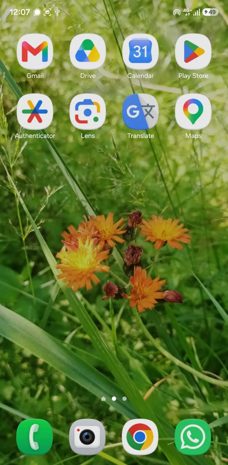 The same home screen in full colour